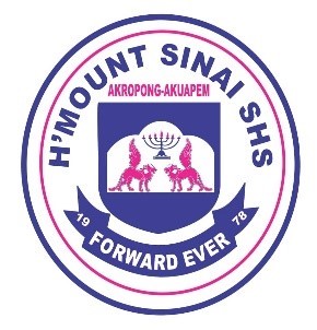 H'Mount Sinai Senior School